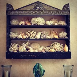 Seashells in the kitchen interior photo