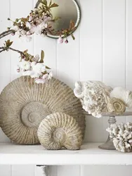 Shells дар дохили ошхона акс
