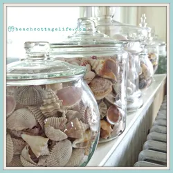 Seashells in the kitchen interior photo