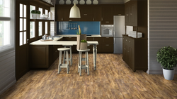 Tarquette linoleum in the kitchen interior