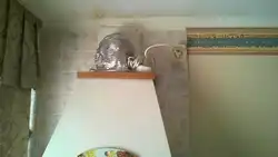Гофра на кухне как спрятать фото