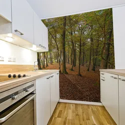 Фота пашыраных кухняў