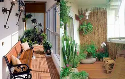 Photo Of The Garden Loggia