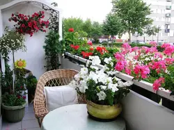 Photo of the garden loggia
