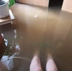 Санаттар 