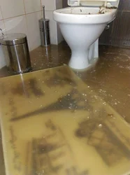 Photo of a flooded bathtub