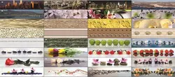 Mətbəx fotoşəkili üçün Albico divar panelləri