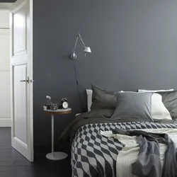 Bedroom design in graphite color