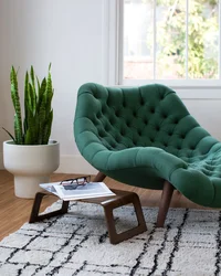 Lightweight armchairs for the living room photo