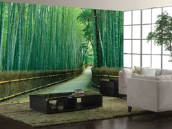 Bamboo in the living room interior