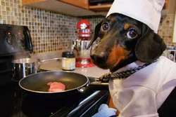 Kitchen cool photo