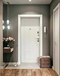 Apartment hallway design entrance door