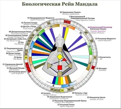 Муҳити ошхона тарҳрезии инсон