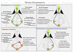 Асяроддзе кухні дызайн чалавека