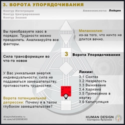 Среда Кухни Дизайн Человека