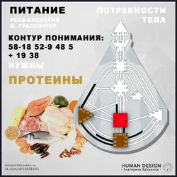 Kitchen environment human design