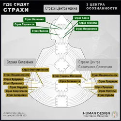 Муҳити ошхона тарҳрезии инсон