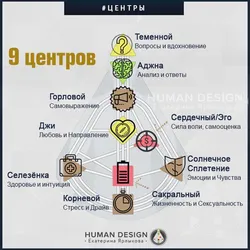Среда кухни дизайн человека
