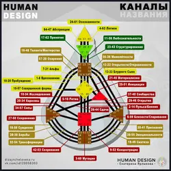 Mətbəx mühiti insan dizaynı