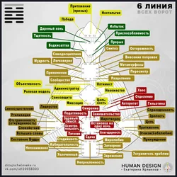 Асяроддзе Кухні Дызайн Чалавека