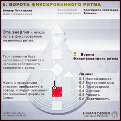 Муҳити Ошхона Тарҳрезии Инсон