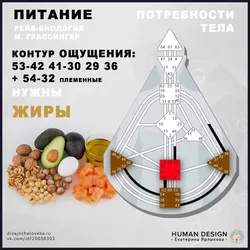 Среда кухни дизайн человека