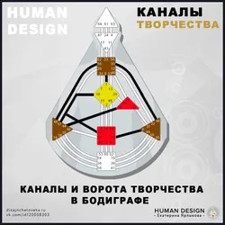 Ас үй ортасының адам дизайны