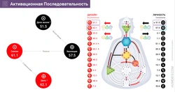 Ас үй ортасының адам дизайны