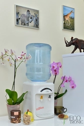 Photo of a cooler in the kitchen