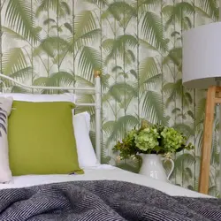 Fern in the bedroom interior