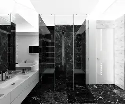 Bathroom interior black marble