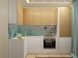 Niche Kitchen Design Project