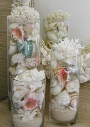 Shells In The Bathroom Interior