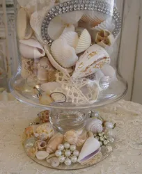 Shells In The Bathroom Interior