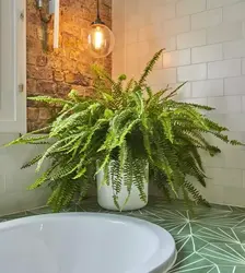 Өсімдіктер дизайнымен ванна