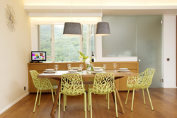 Kitchen and table in the same interior style