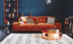 Living room design with terracotta sofa