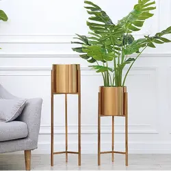 Floor pots in the living room interior