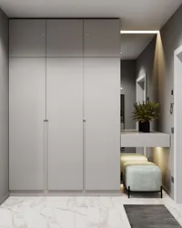 Wardrobe in the hallway photo modern to the ceiling