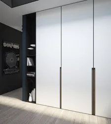 Design of a built-in hallway with hinged doors photo