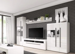 Living room walls photo new items modular