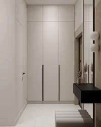 Wardrobe design for the hallway with hinged doors in a modern style