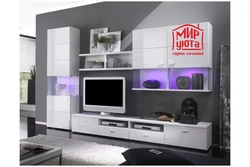 Living room furniture inexpensive photo in modern style