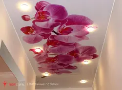 Photo suspended ceilings with photo printing for the bedroom