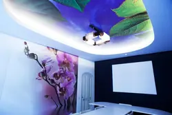 Photo Suspended Ceilings With Photo Printing For The Bedroom