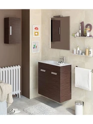 Wenge color bathroom photo