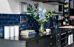 Blue apron for kitchen interior