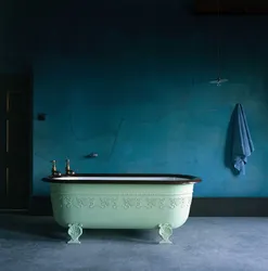 Cast Iron Bathtub Design Photo