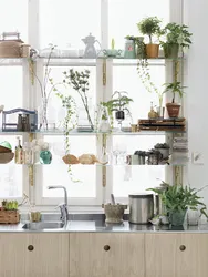 Shelves For Flowers In The Kitchen Interior