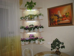 Shelves for flowers in the kitchen interior